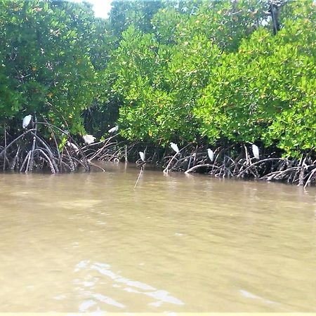 Mida Creek Nature Camp Watamu Esterno foto