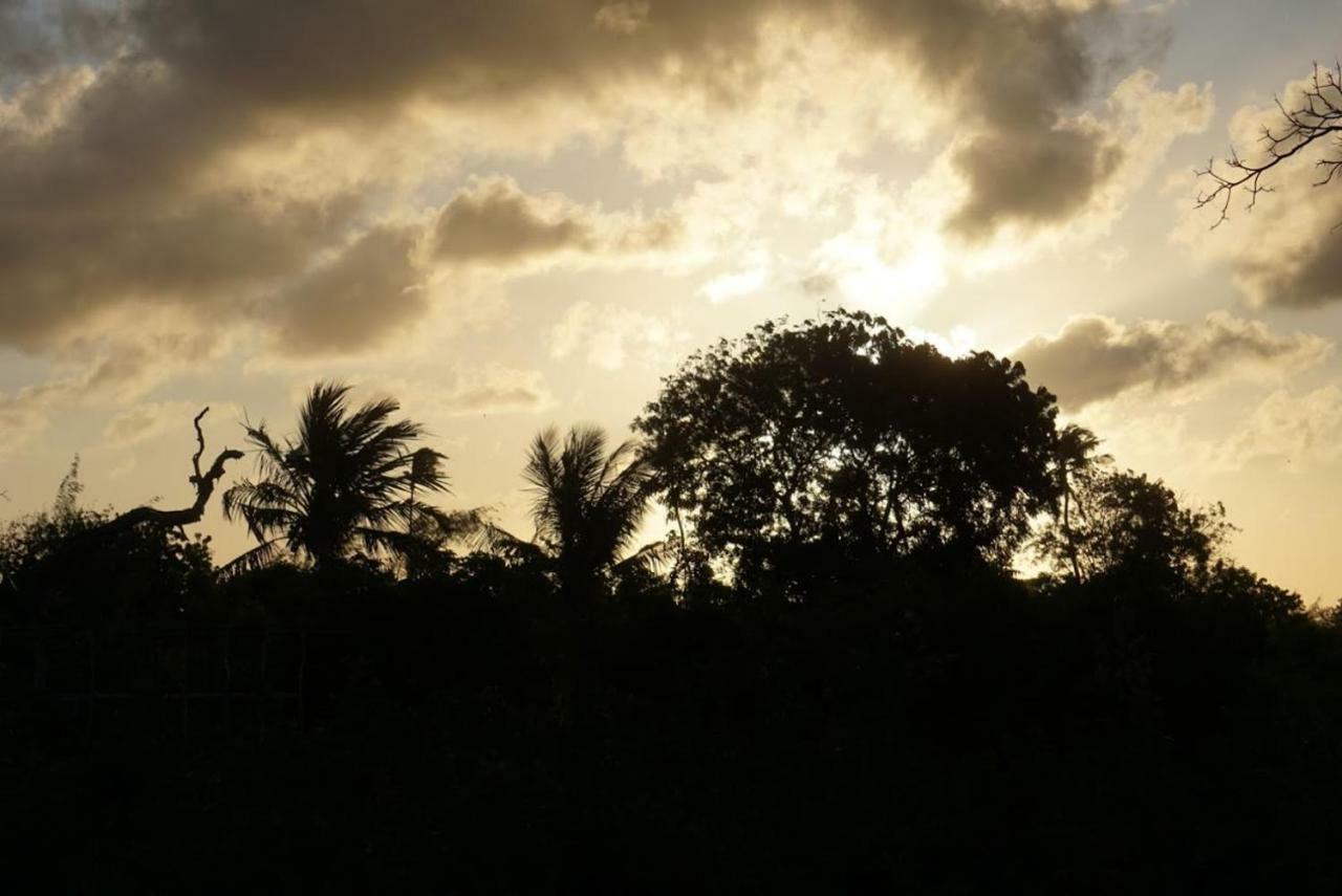 Mida Creek Nature Camp Watamu Esterno foto