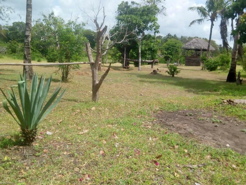 Mida Creek Nature Camp Watamu Esterno foto