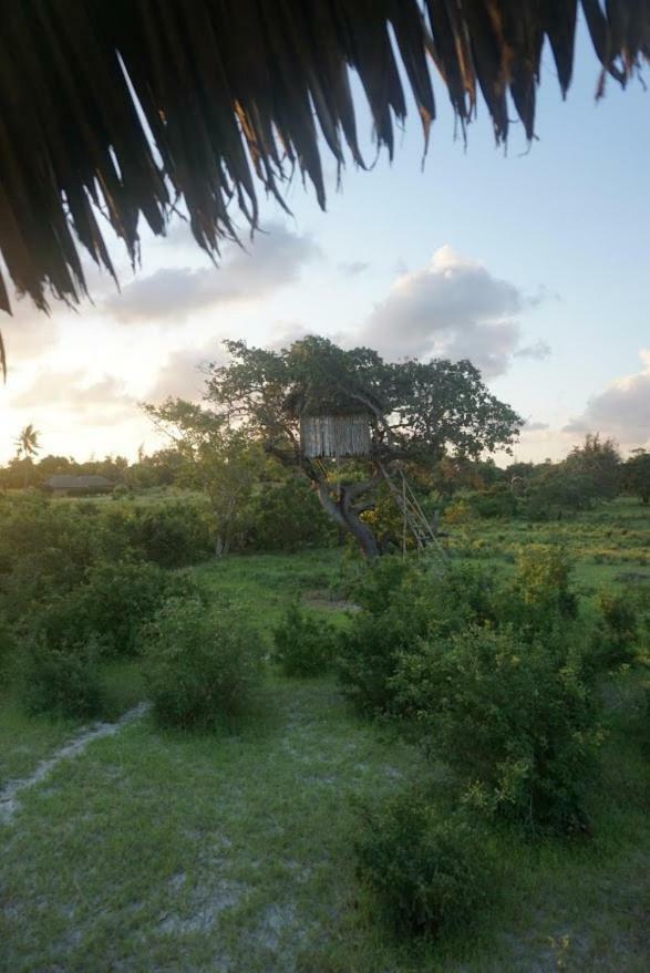 Mida Creek Nature Camp Watamu Esterno foto