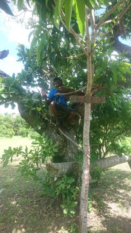 Mida Creek Nature Camp Watamu Esterno foto